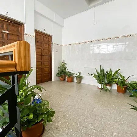 Piso Centrico Costa